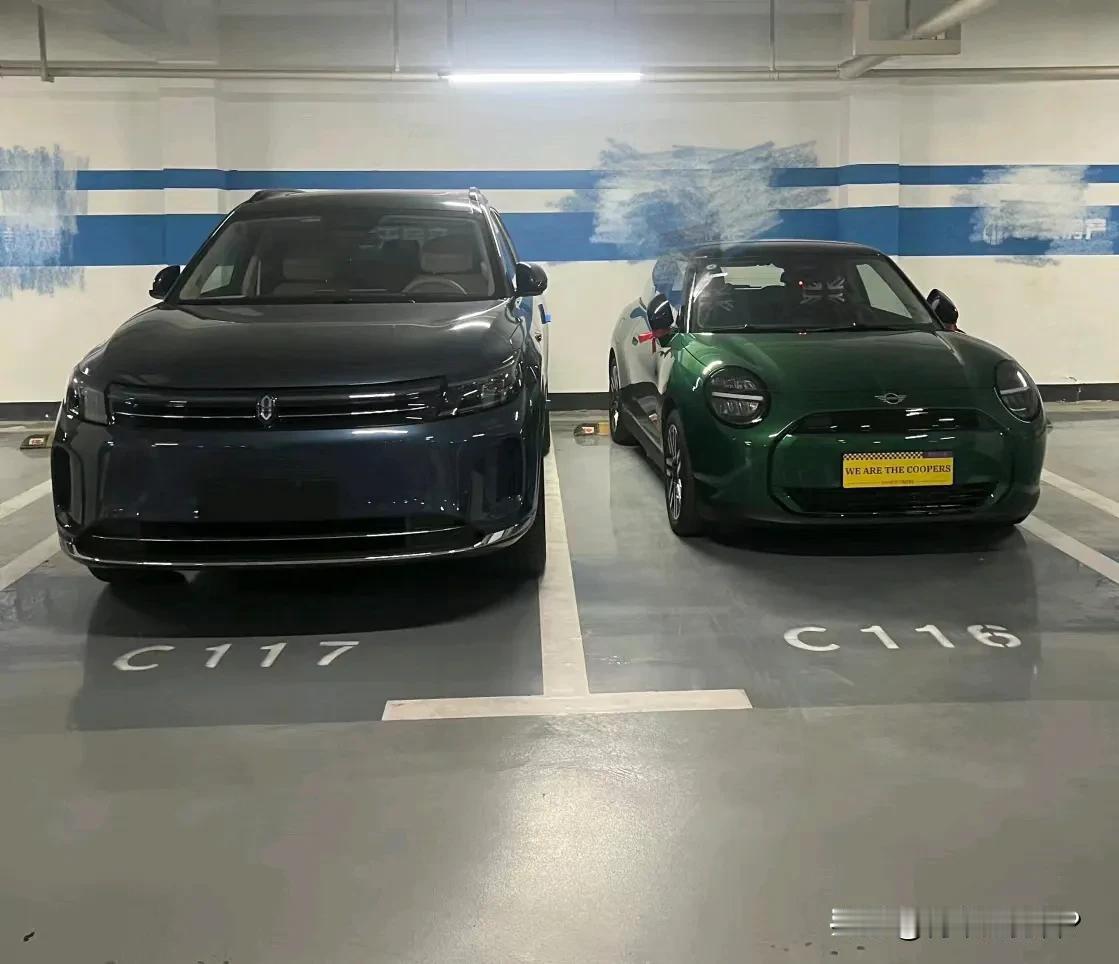 一个家庭最好有两辆车，最好是油电搭配、高低搭配，如此以来在任何情况下都能立于不败