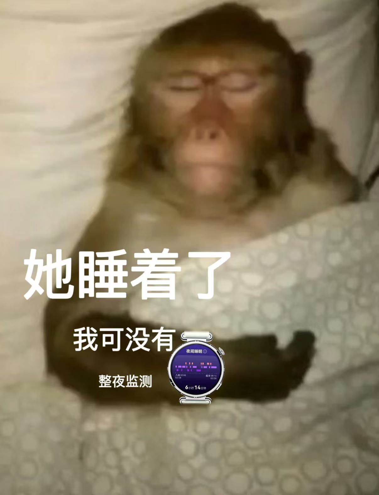 不足5%的女性能在晚10点前入睡“安眠成奢”这四个字，精准地戳中了当代打工人的睡