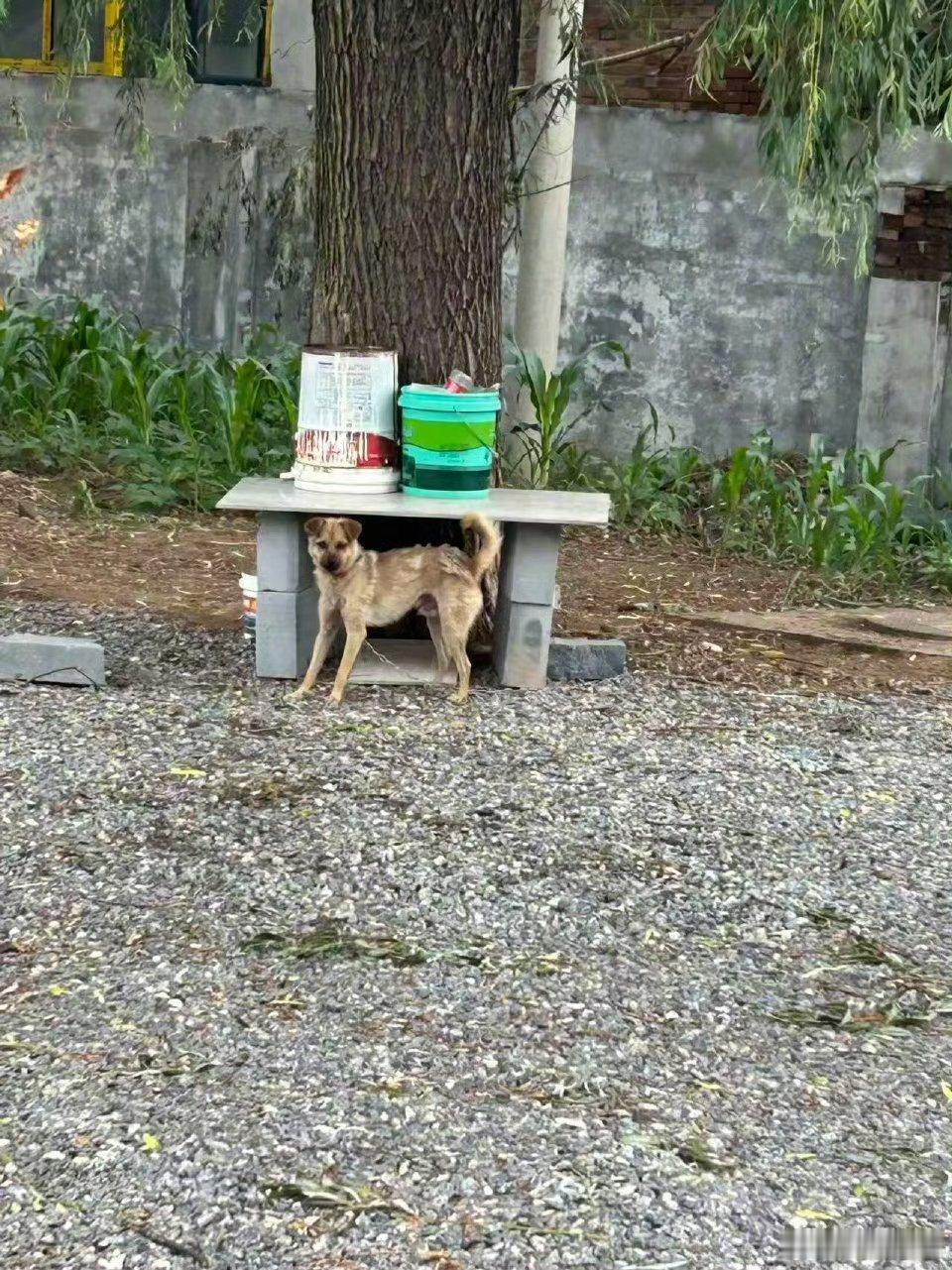 【】世界上没有后悔药，关键这个案子具有激活正当防卫的里程碑意义，法官也不会用自己