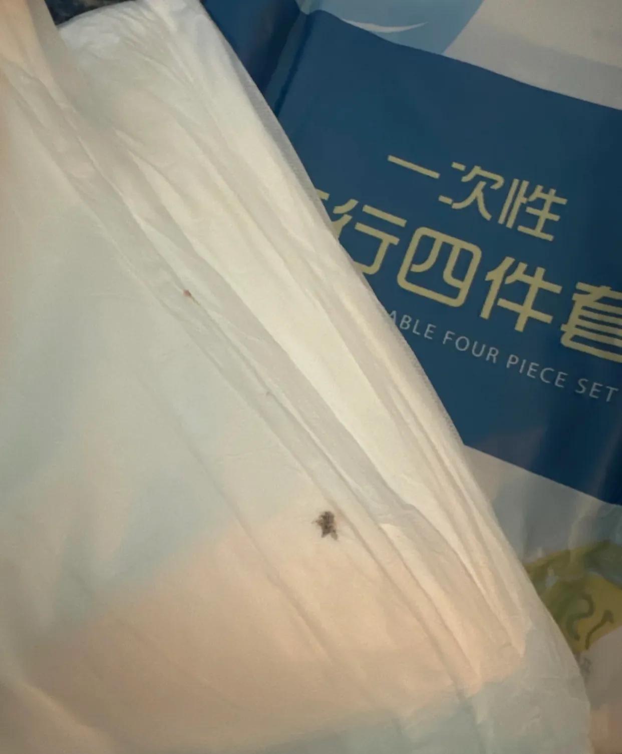 出去玩再也不会买一次性四件套了！！！！

曾经，每次踏上旅程，我总爱带上一次性四
