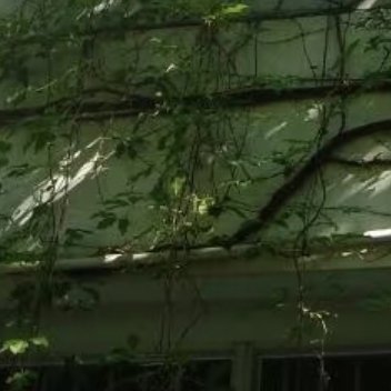 每日一善每日一善阳光信用熊猫守护者 0000不管做什么，都不要急于回报！因为播种