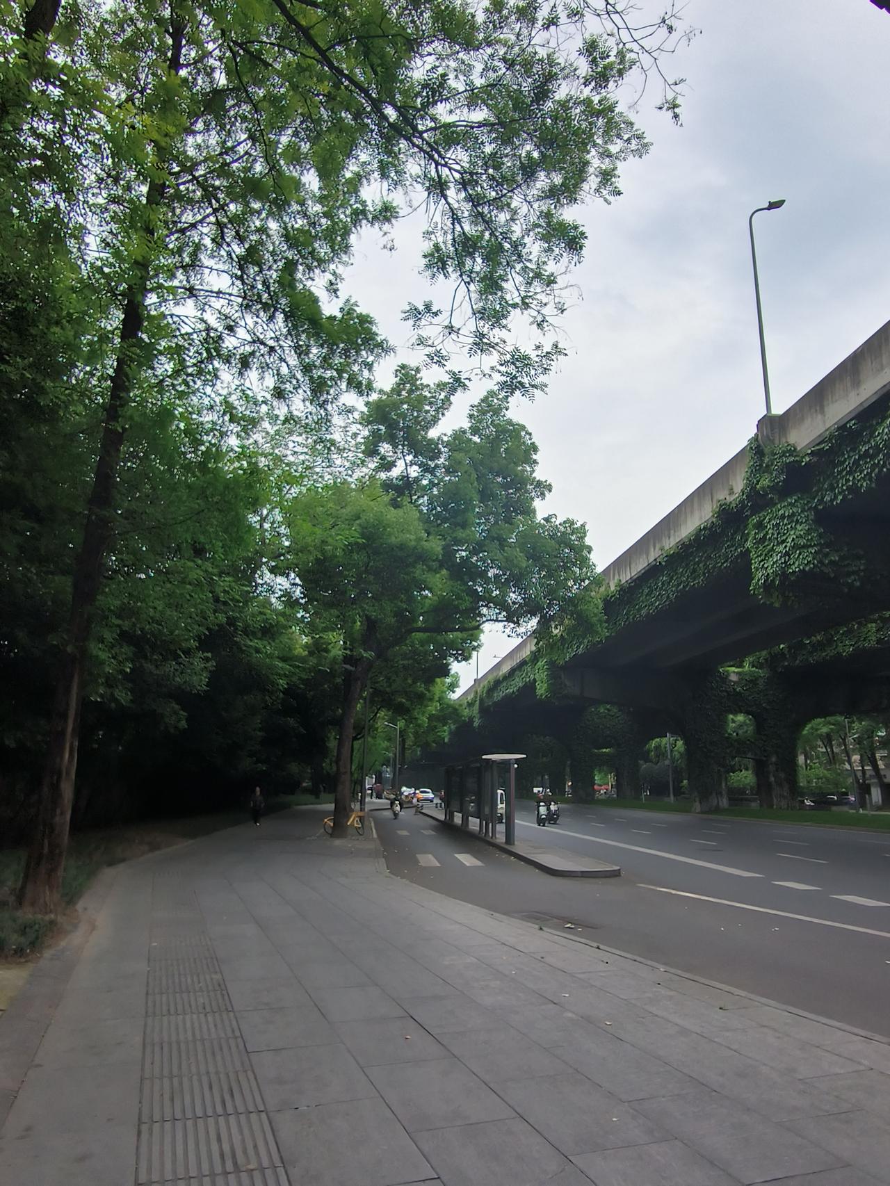 我爸吃完晚饭
又出门遛弯了
平常出去没有一个小时是不会回来的
没想到今天回来得挺