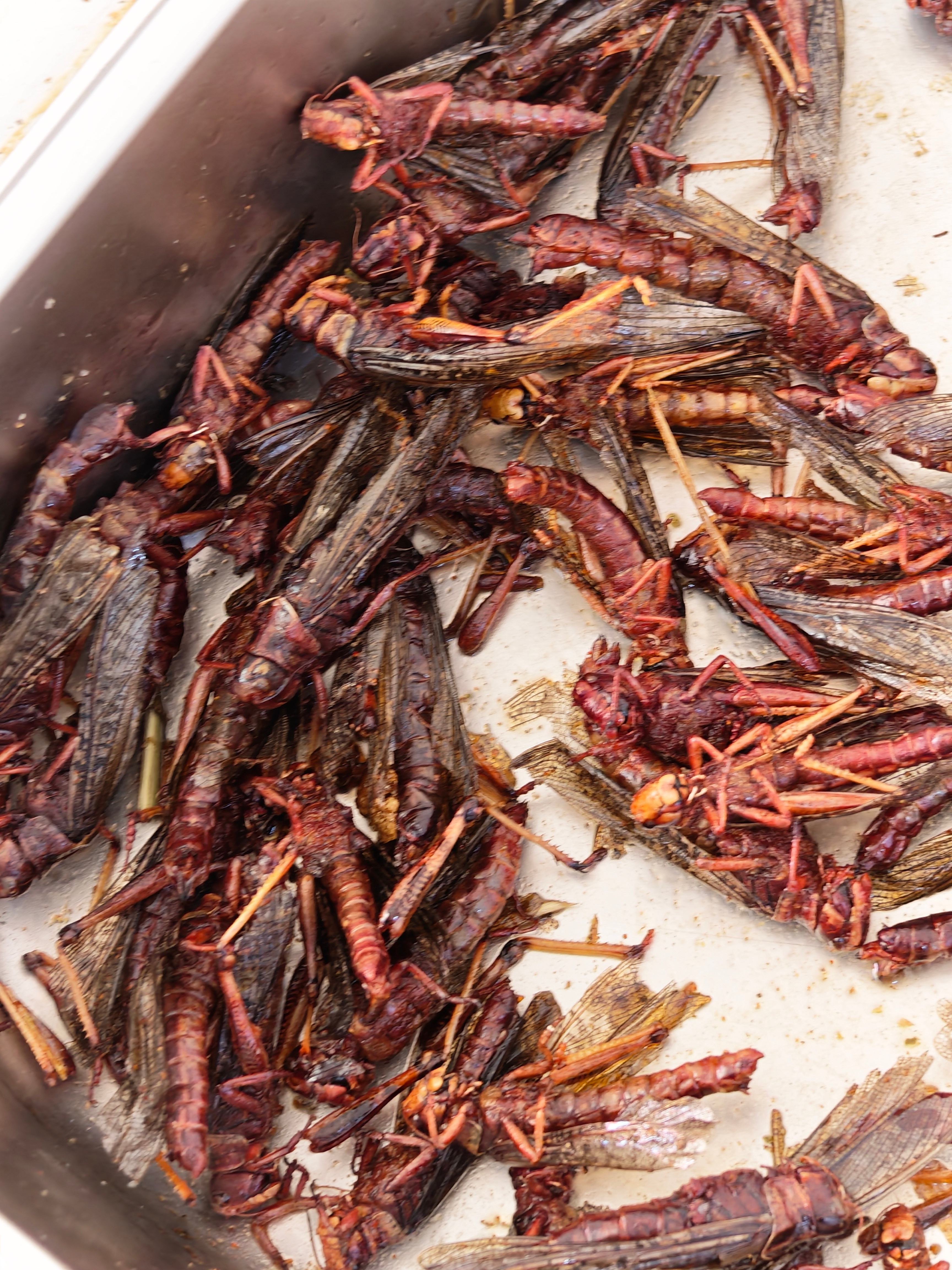 想知道南方人有吃过炸蚂蚱吗？🤔 