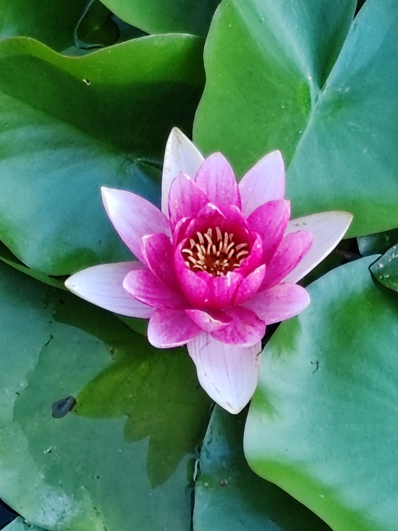 父母仁，孩子义。父母时刻关心着孩子，孩子也时刻体谅着父母。父母的仁体现在倾尽全力