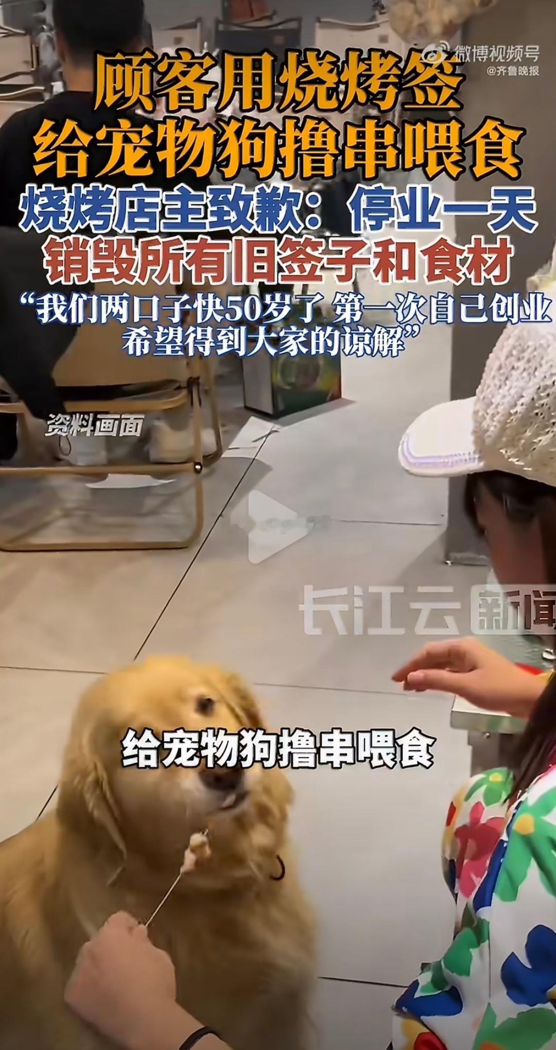 宠物友好真的需要宠物主人能管好自己的宠物，狗狗可爱不代表其他人也得跟你一起食用宠