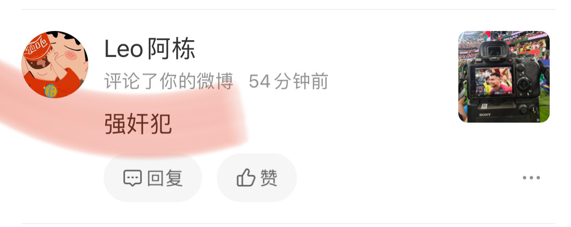 又一位来C罗球迷这做自我介绍的蓝白世界杯蓝白球迷迷惑行为