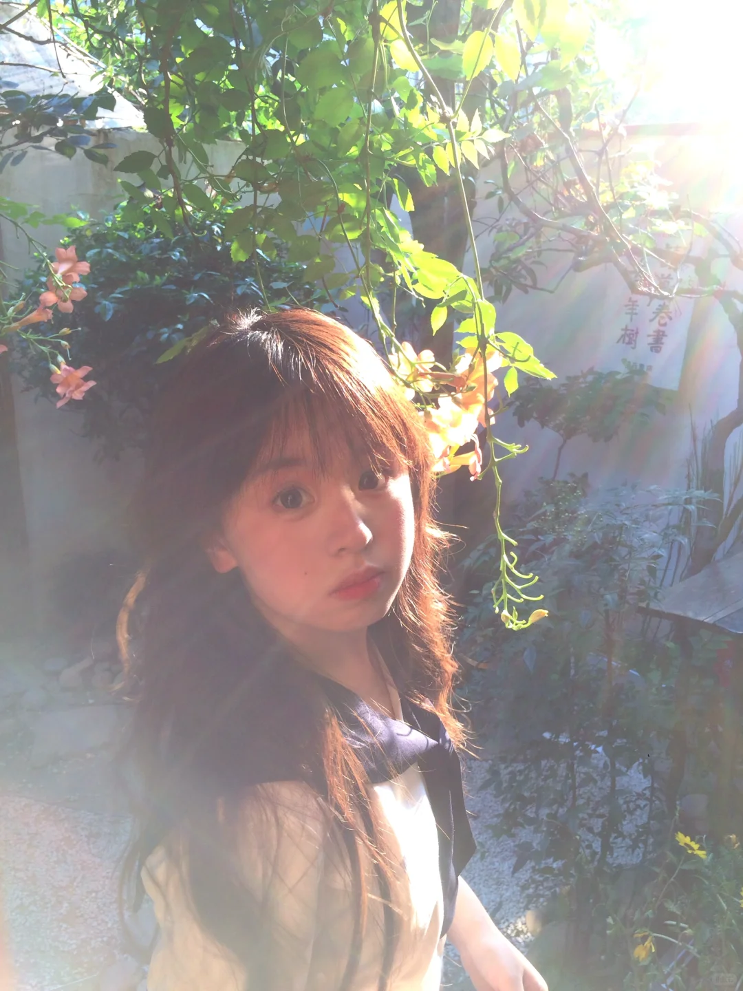 夏日午后🫧
