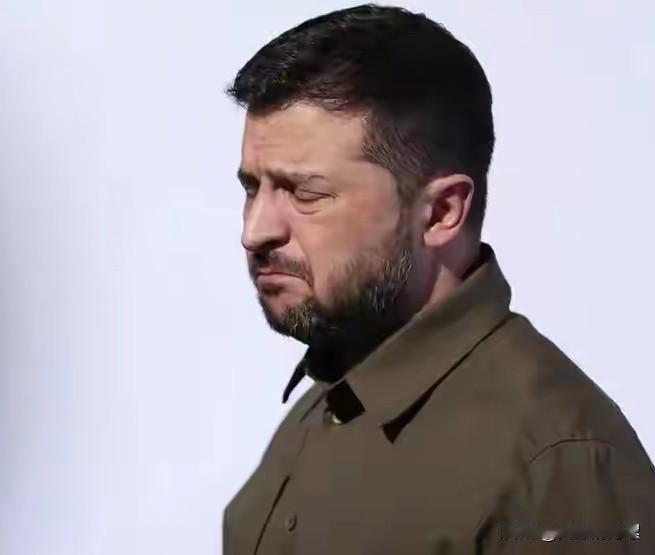 泽连斯基这下心彻底凉透了！就在昨日，匈牙利国会选举结果出炉，蒂萨党主席毛焦尔成功