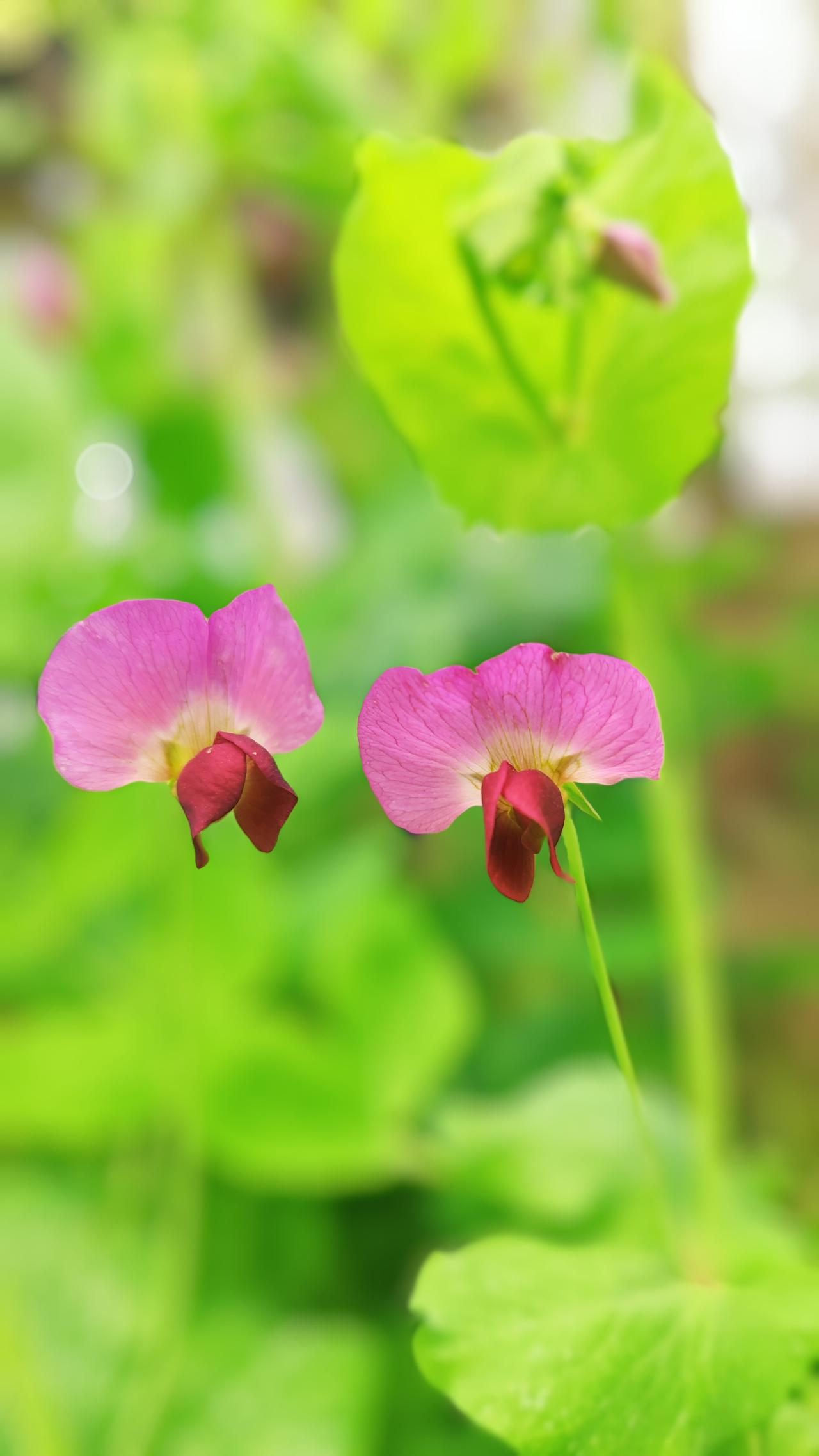 觉醒后，
你没了妄求，
就不再需要研究人性！

因为你内在的心灵，
就好比一潭清
