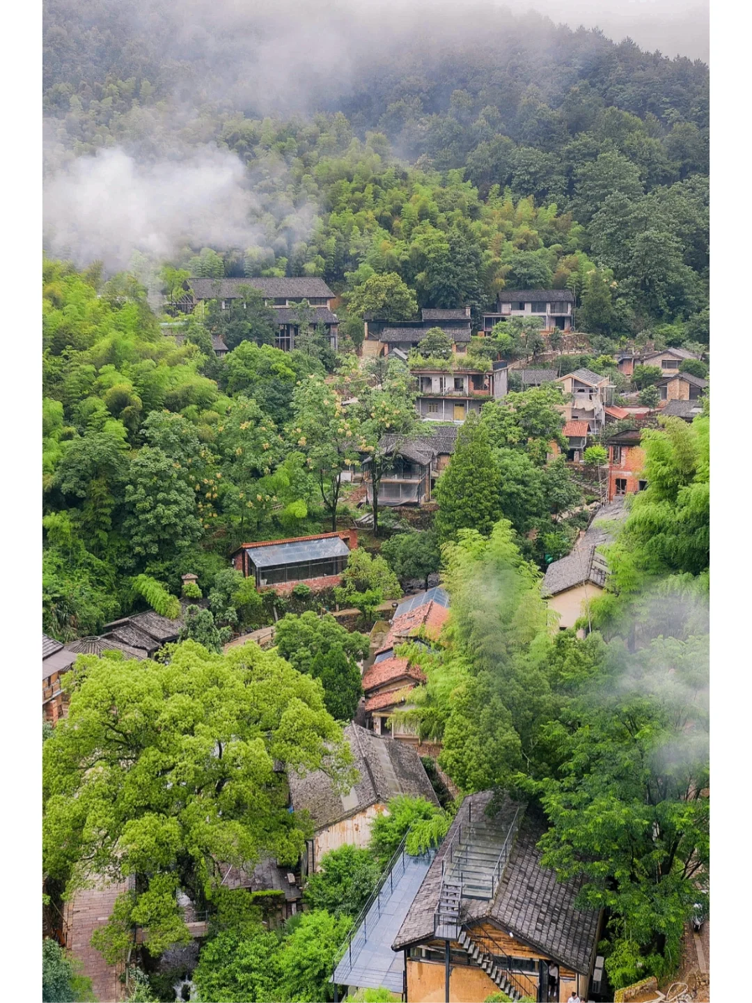 后悔没有早点来浙江❗️隐藏在古村的天然氧吧