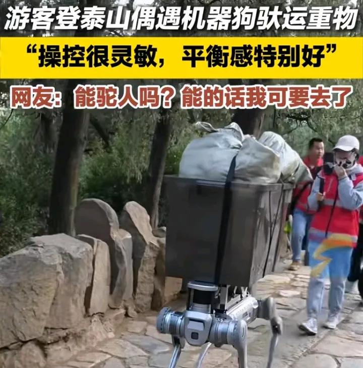 真是大开眼界，机器狗负重80斤爬泰山，高科技直接取代了挑山工…

相信爬过泰山的