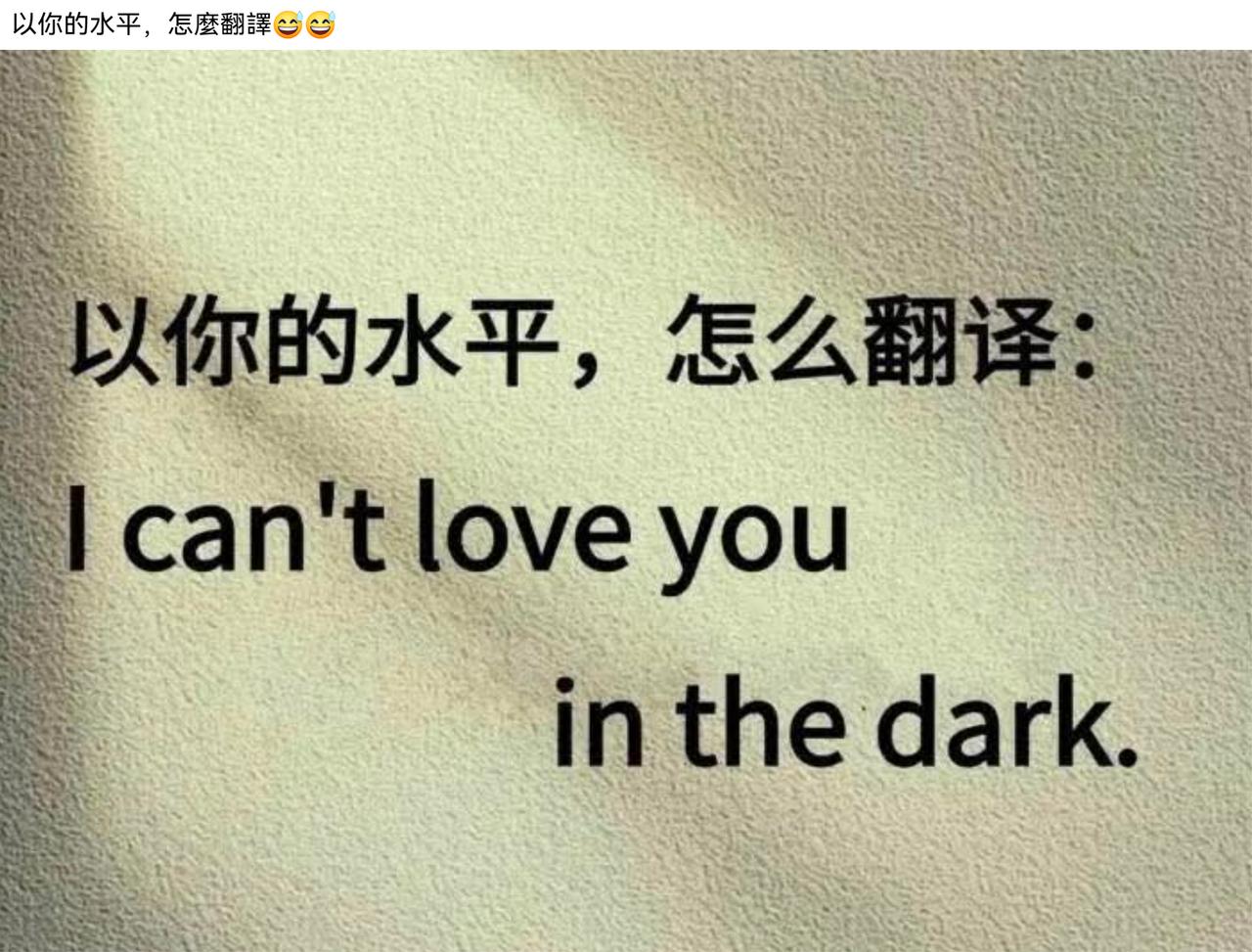 以你的文采会怎么翻译：I can't love you in the dark.