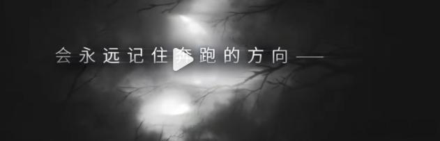 我的脑子：随风奔跑自由是方向……（对不起，知道的已经老了） 