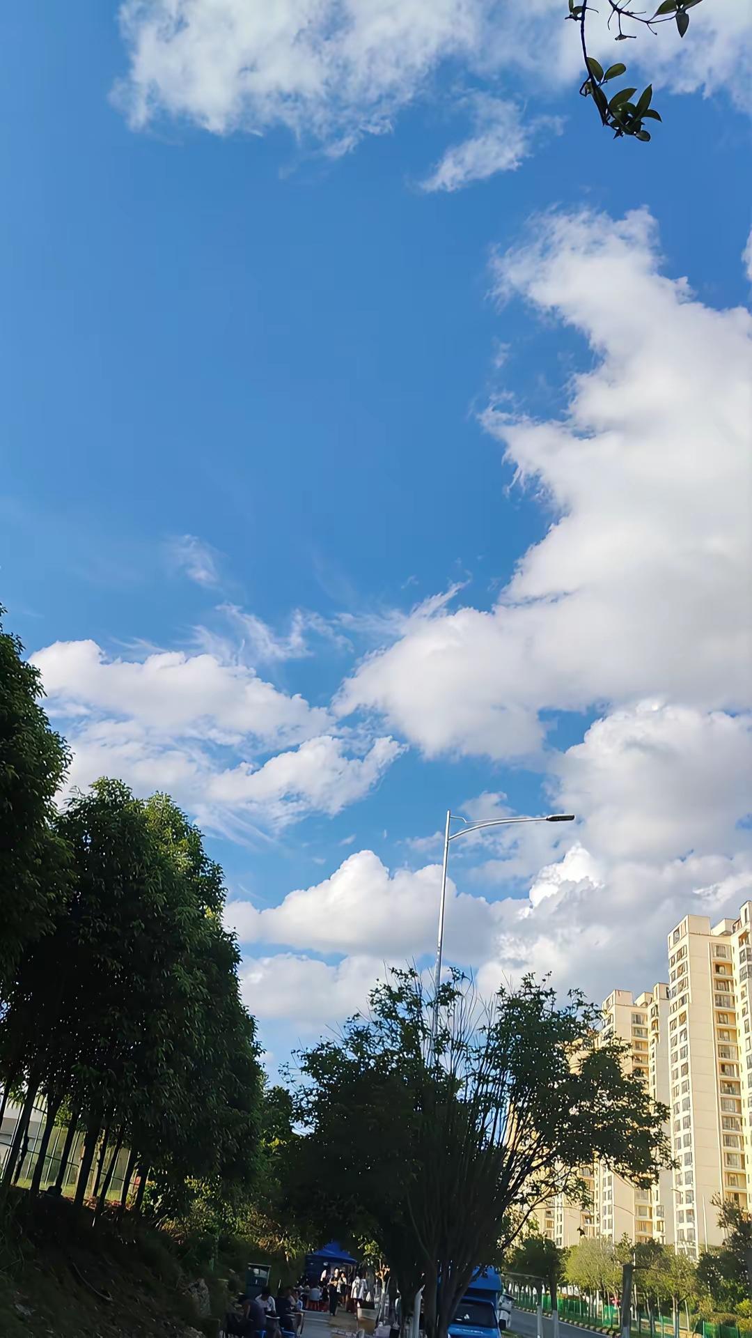 同样是权益市场，海外绝大多数股市实行T+0交易，买入之后当天就可以自由卖出。A股