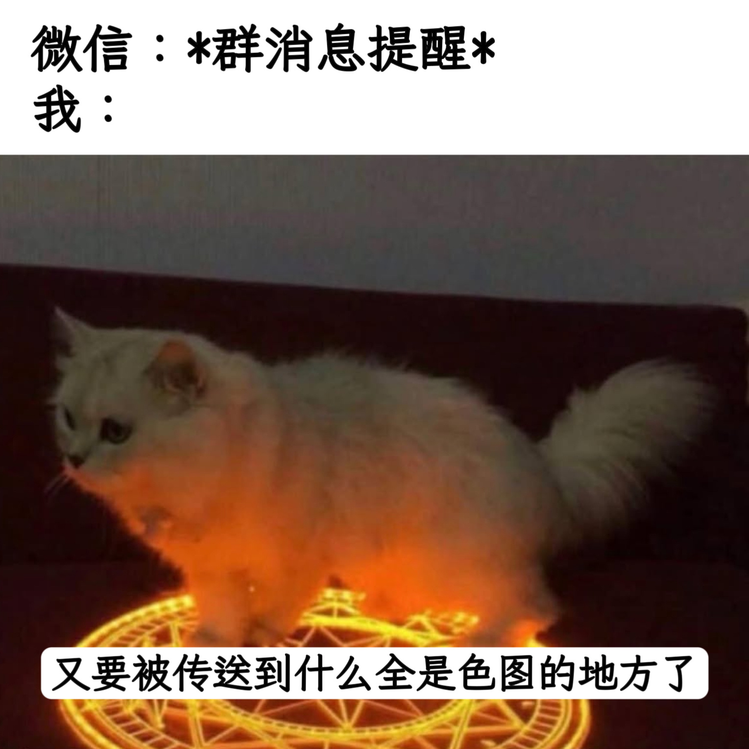 这是好事儿啊memes