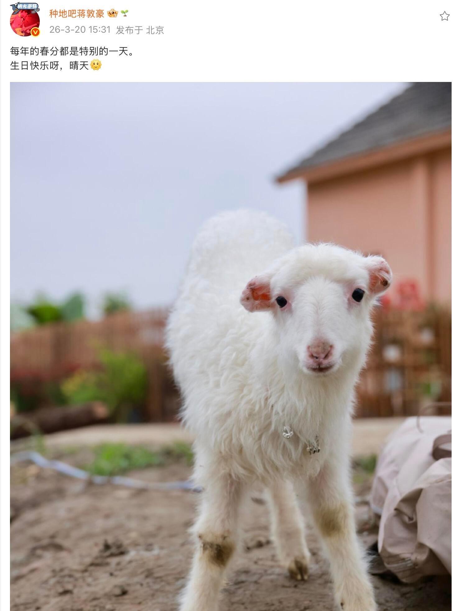 又是一个风和日丽的日子生日快乐小晴天，三年了，三岁了十个勤天  |  种地吧 
