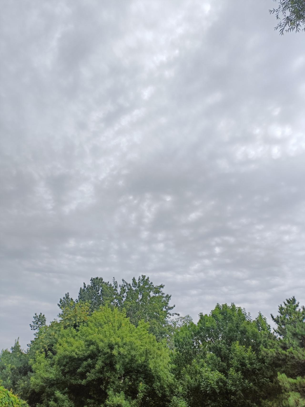 晒图笔记大赛 阴雨天的天空总能带来别样的感受。就像下班路上看到那云彩好似一对翅膀
