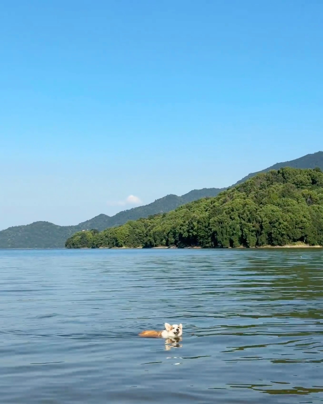 山居自乐自在随心不问天，垂竿伴犬困来眠。饱食策杖青山去，便是人间快活仙。江语晨 