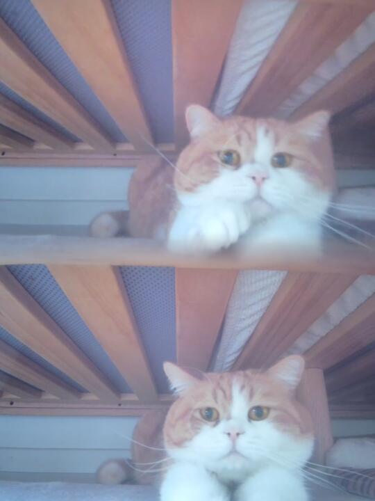 上班镜头拍到的