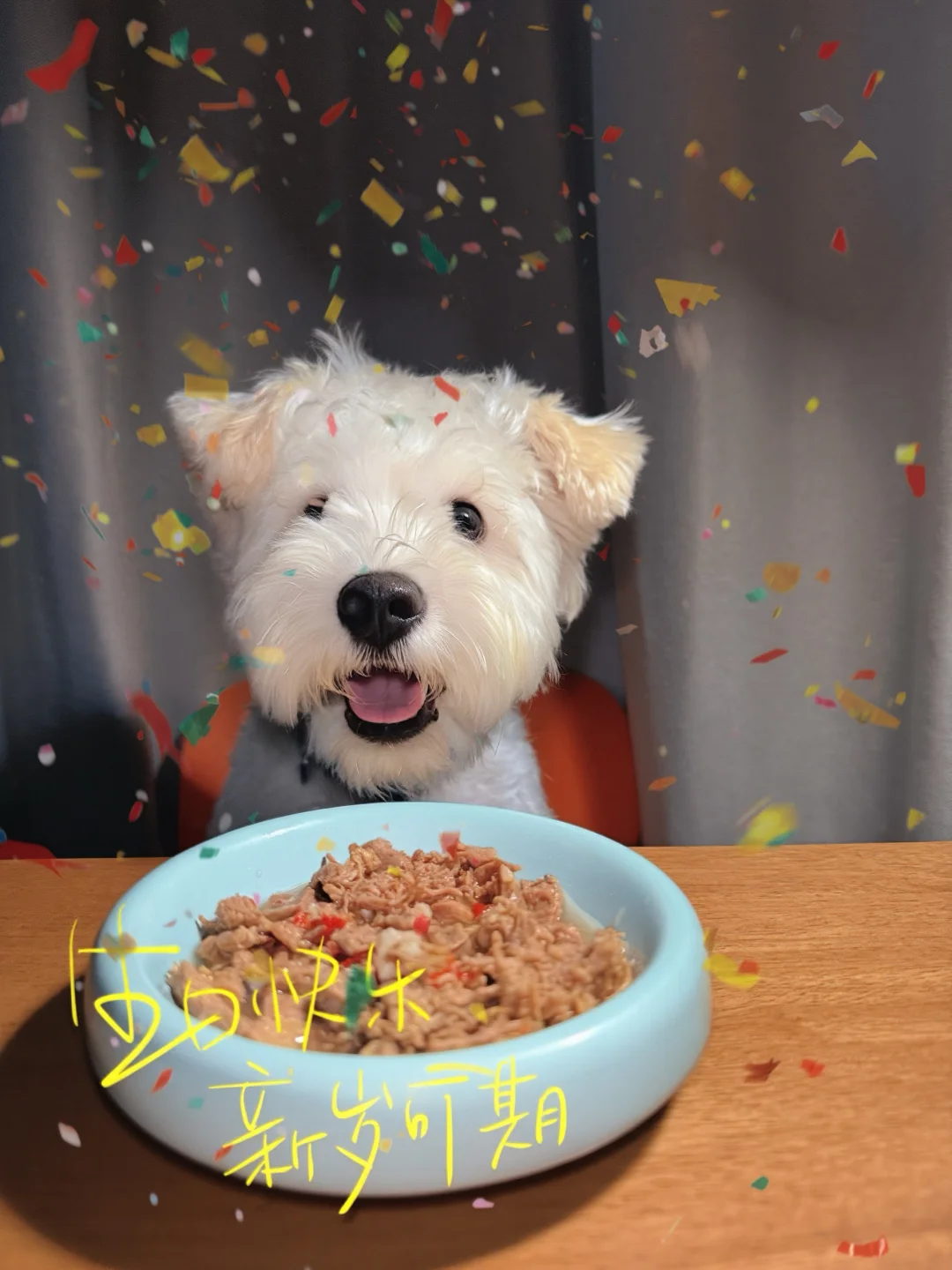 感谢你光顾我的小怪物🥫