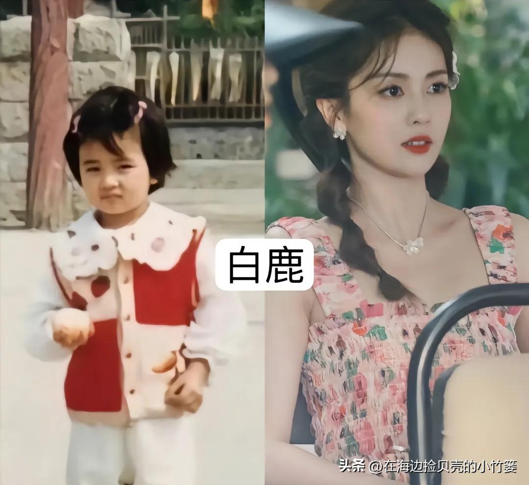 一起来看看这些女明星童年旧照和现在的对比。
 
白鹿小时候灵气满满，眉眼自带温柔