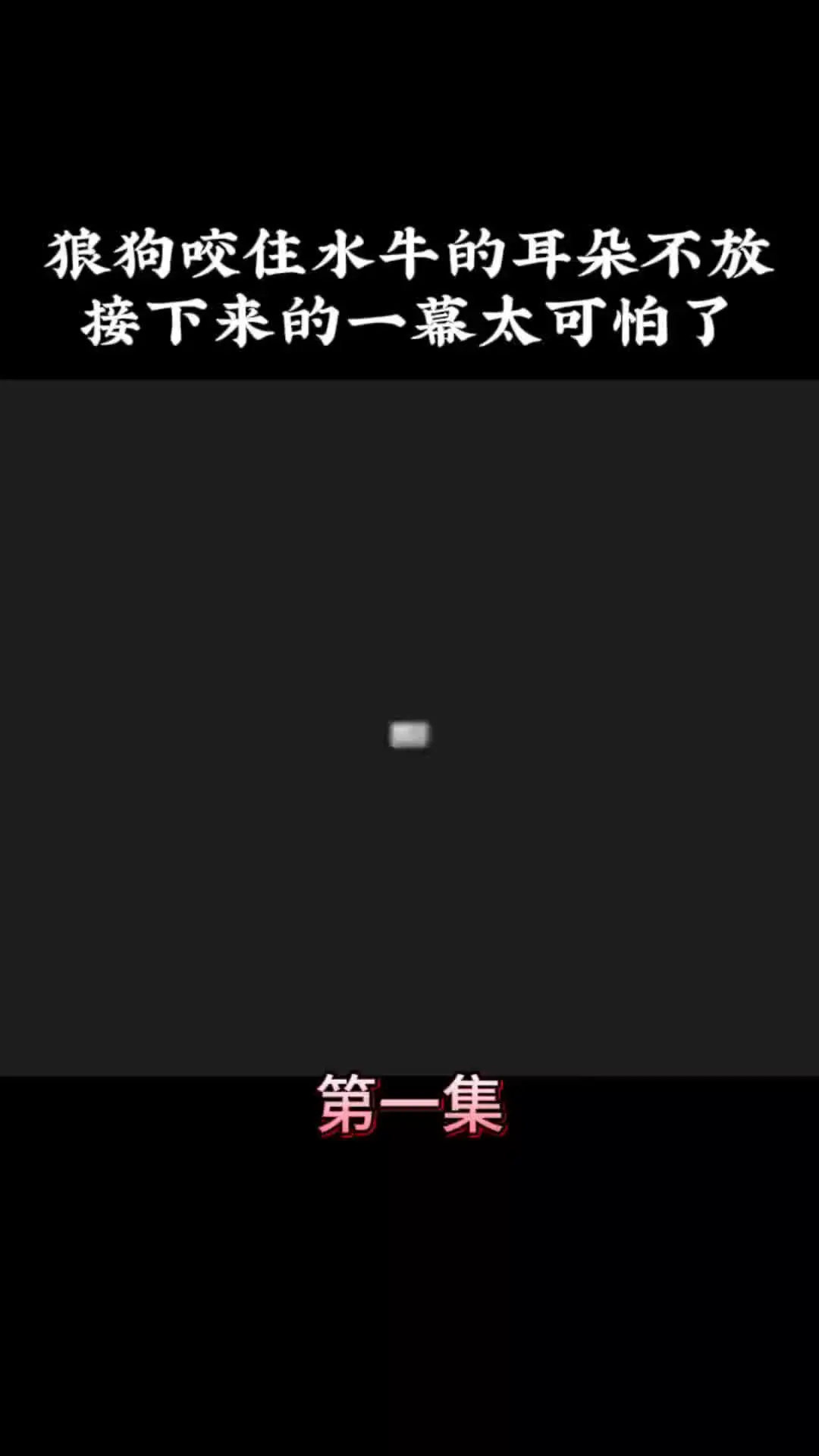 动物世界