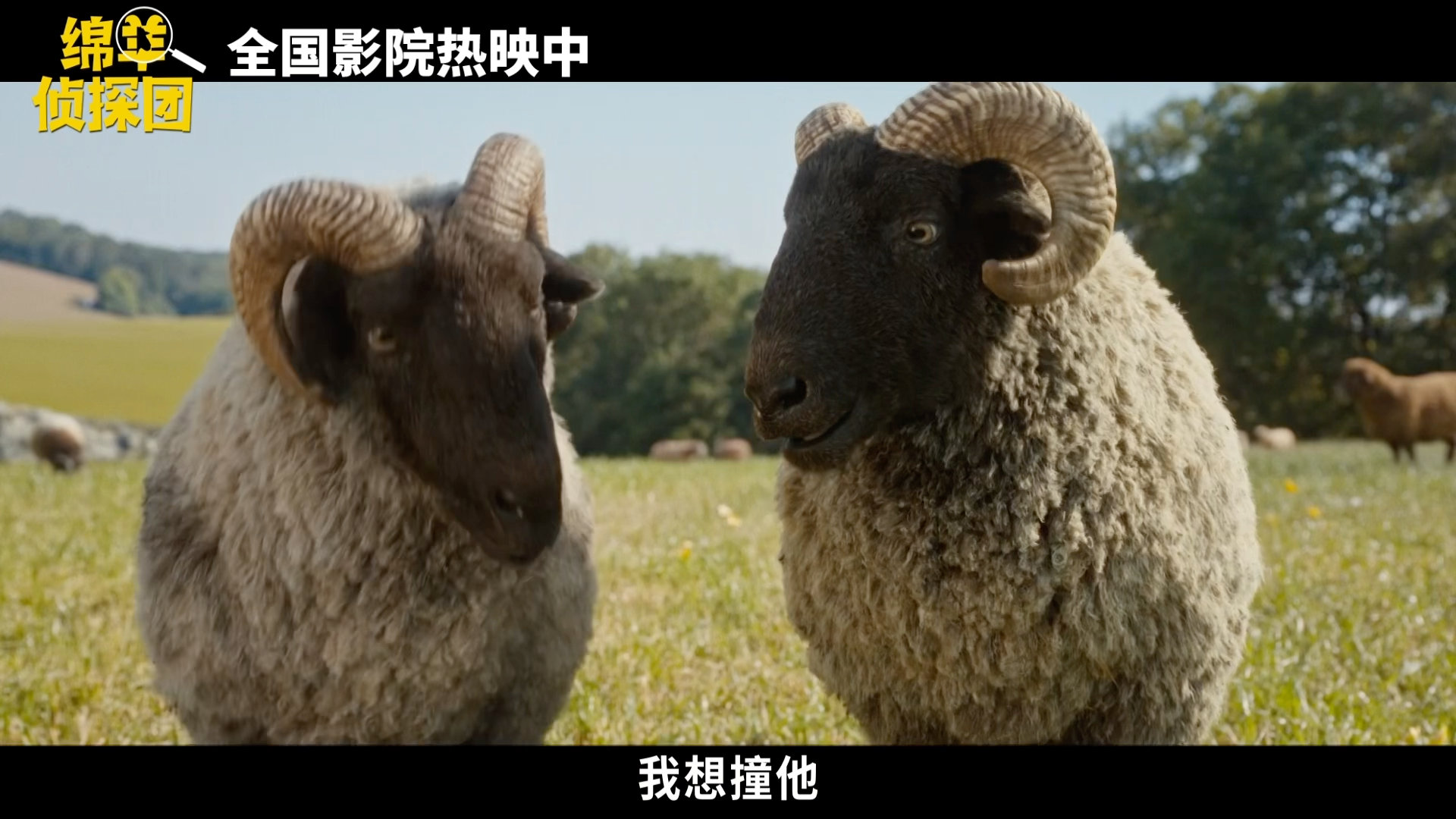 主人离世给宠物留了3000万牧羊人乔治留下3000万遗产，全镇人各怀鬼胎，结果最