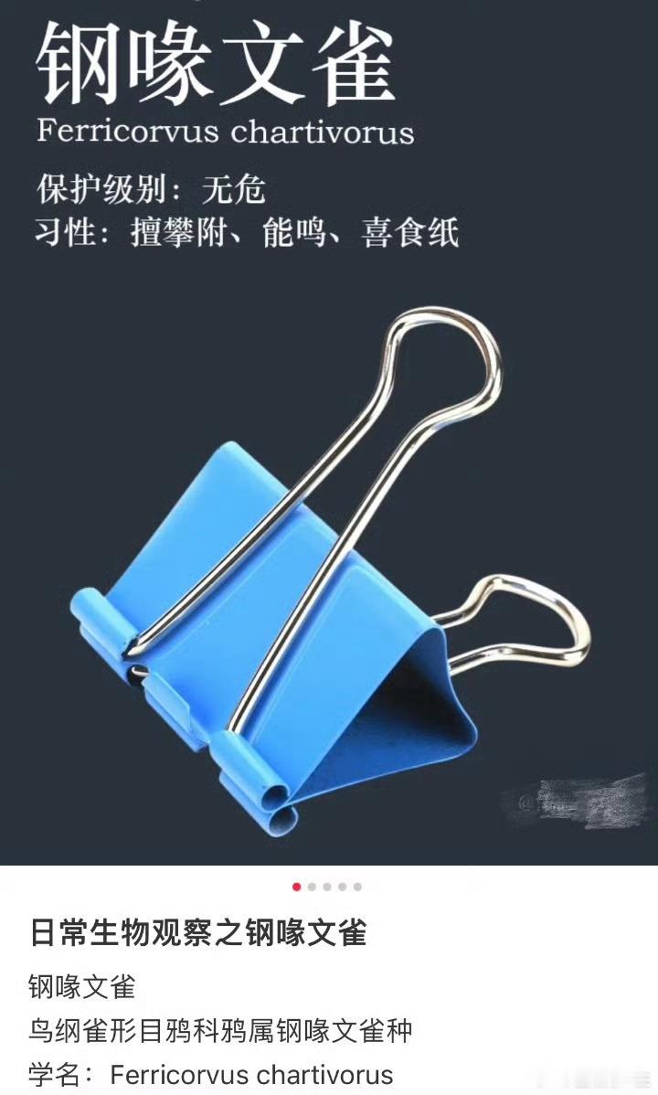 兴趣一定要有用吗 每次逛超市都忍不住买很多零食，明明知道吃多了不好，但就是忍不住
