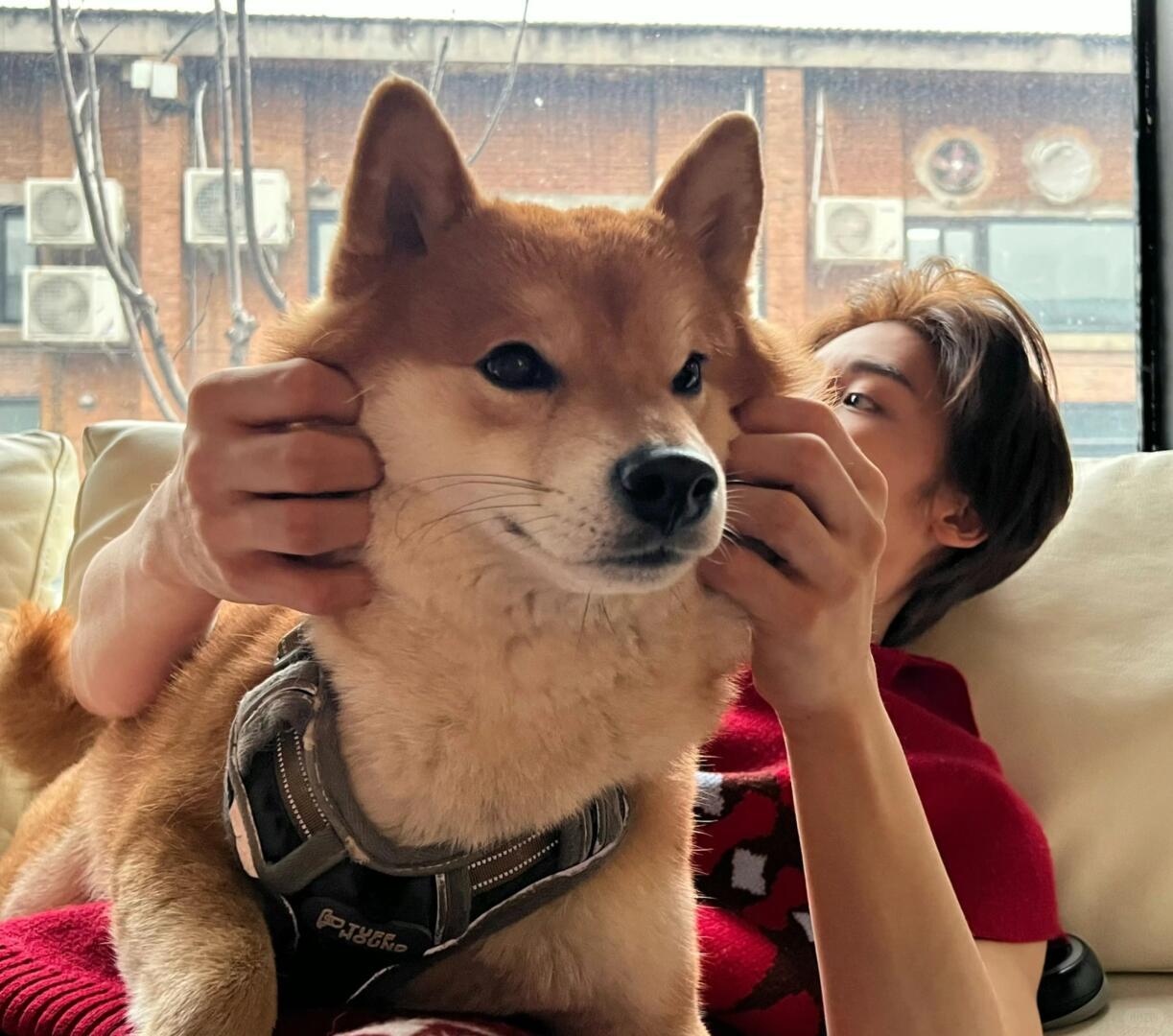 我会收集一些侯明昊和monkey的日常🥰🥰🥰🥰🥰🥰侯明昊和狗狗吃炸鸡
