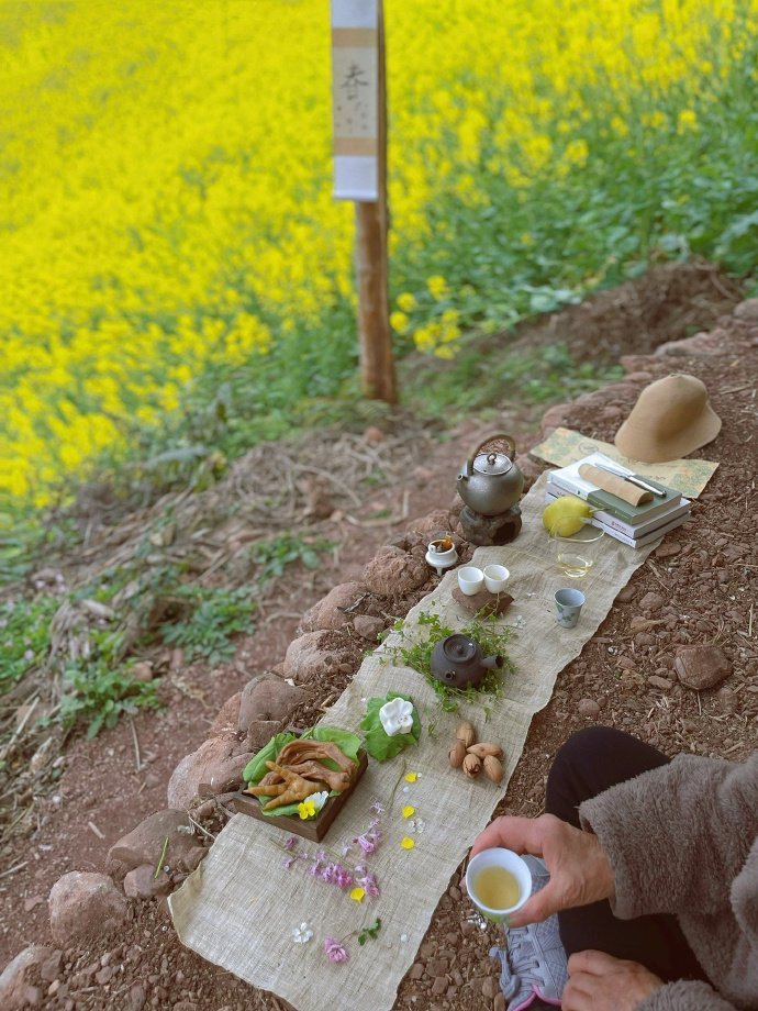 中国人的退休基因在蠢蠢欲动 