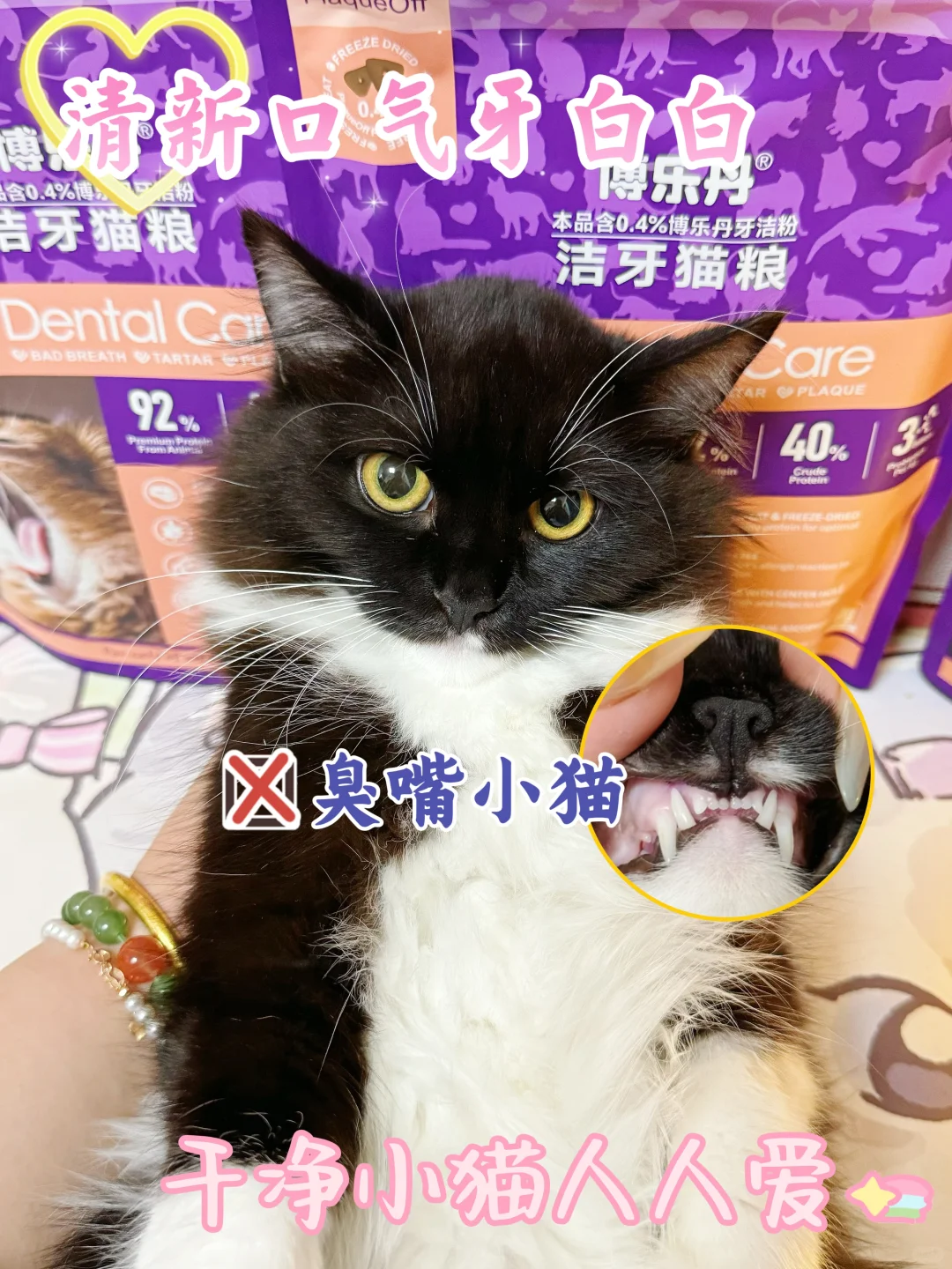 口臭小猫必选项！一步到位解决问题！