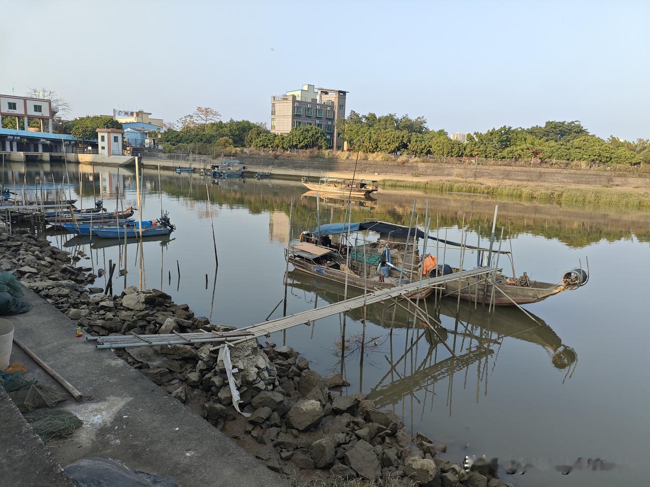 广州的乡村是什么样的环境呢？来到广州南沙的乡村，这边河涌水网比较密集，当地的许多