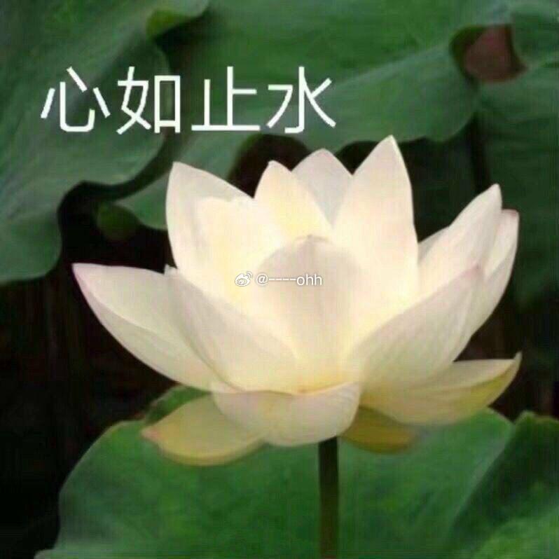 不生气不生气气出病来无人替生气伤神又费力我若气死谁如意为了小事发脾气回头想想又何