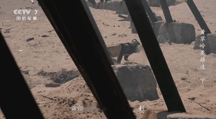 我们就应该敢于发现问题改正错误，不不要只报喜不报忧，这才是我们军队在实战化建设过