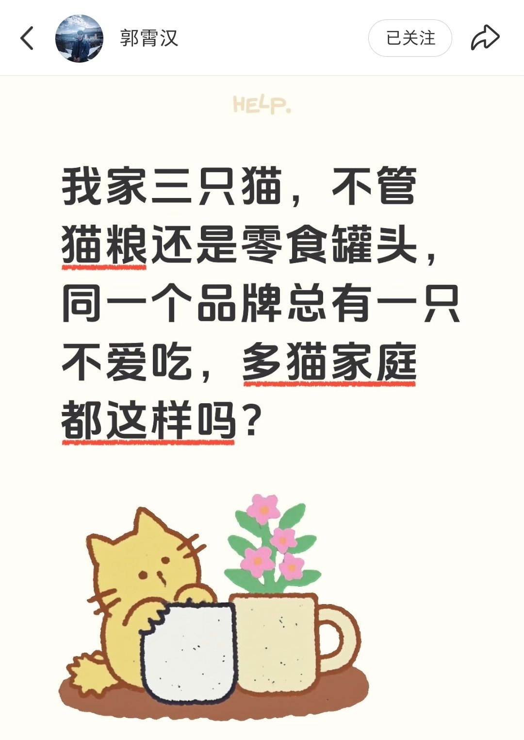 郭霄汉养猫疑惑。 