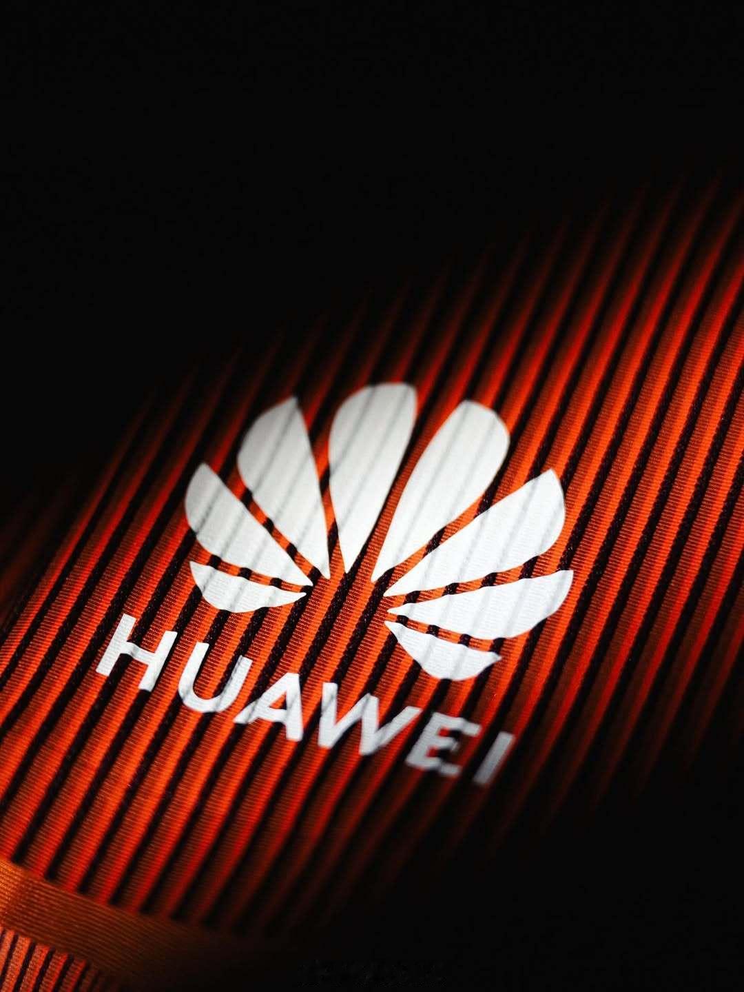 DSM-Firmenich 帝斯曼-芬美意职业跑队的2026赛季比赛服装。帝斯曼