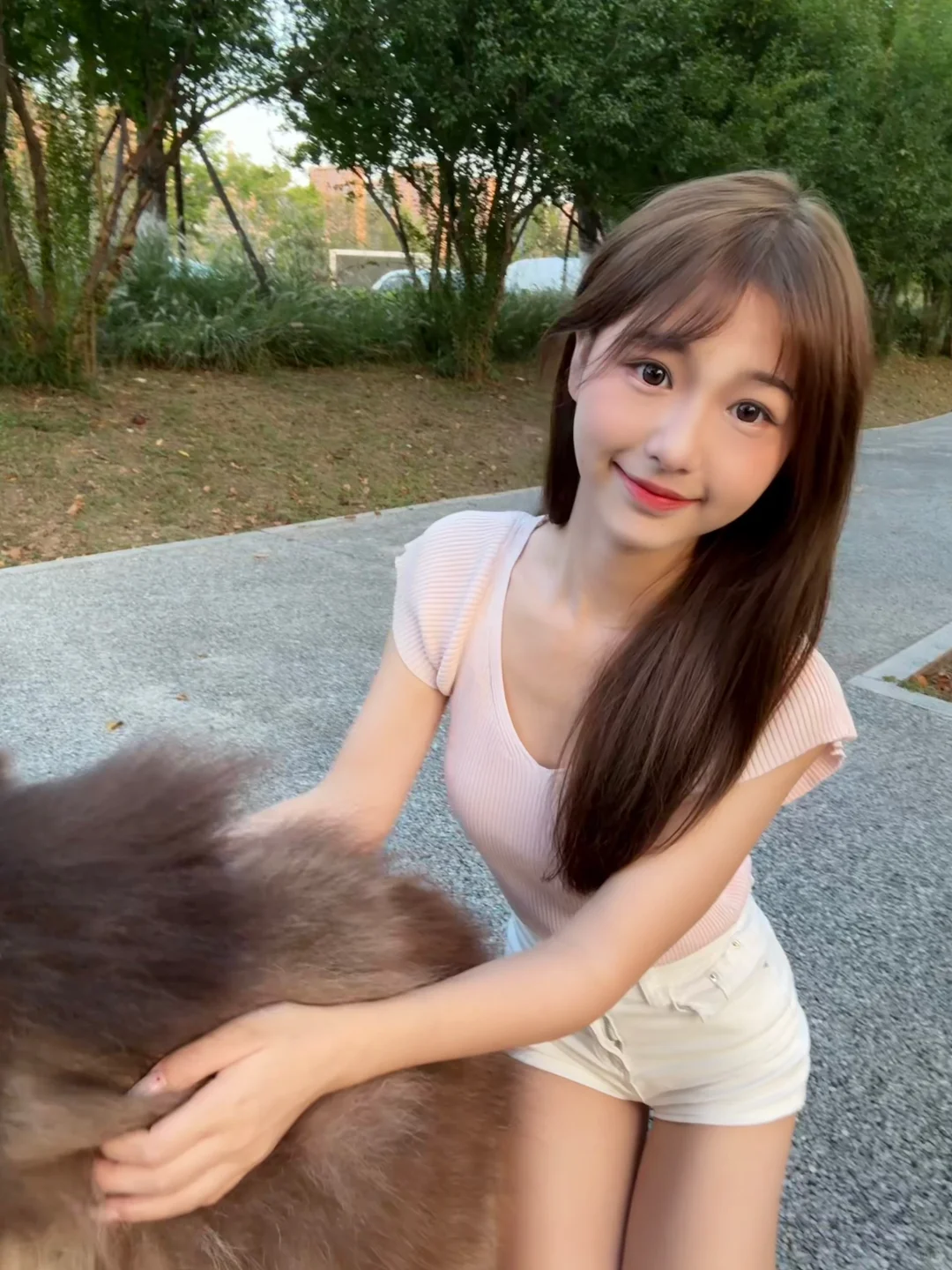 小狗说忘忘忘
