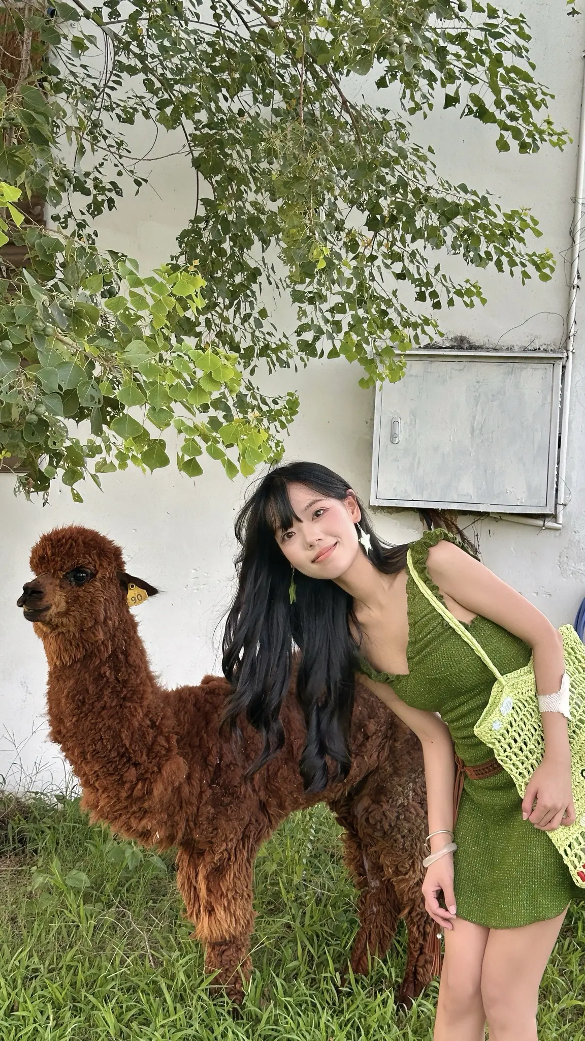 台风前的动物园🐑🦙。动物园里有什么