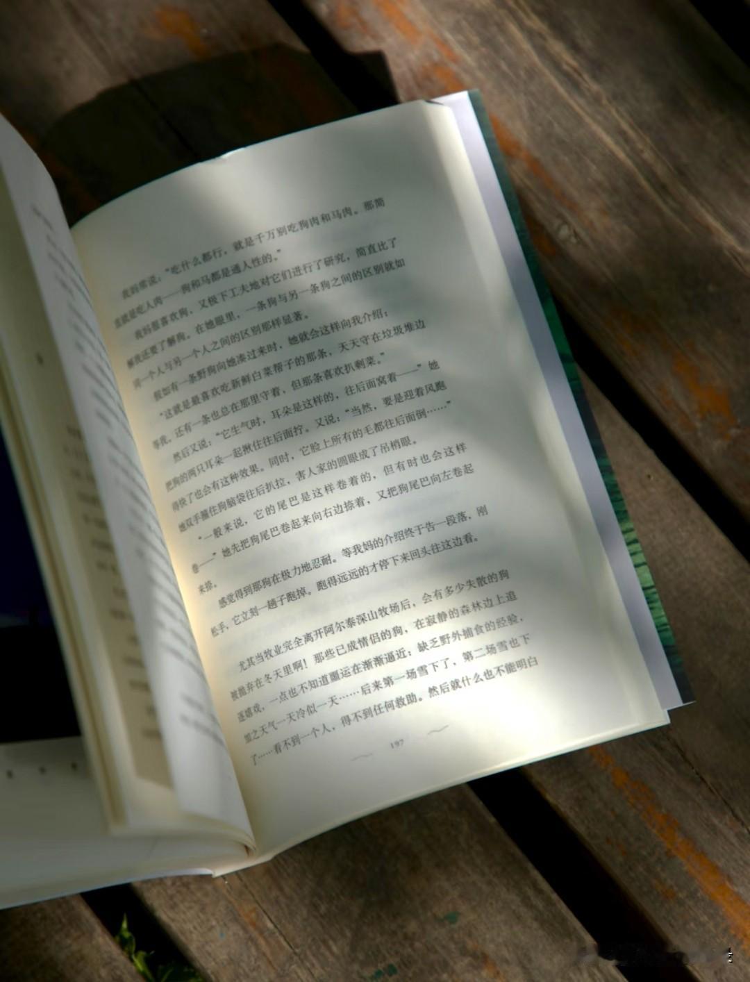 人在夏天的首要任务，从来不是步履匆匆地追赶忙碌，而是心安理得地无所事事。

寻一