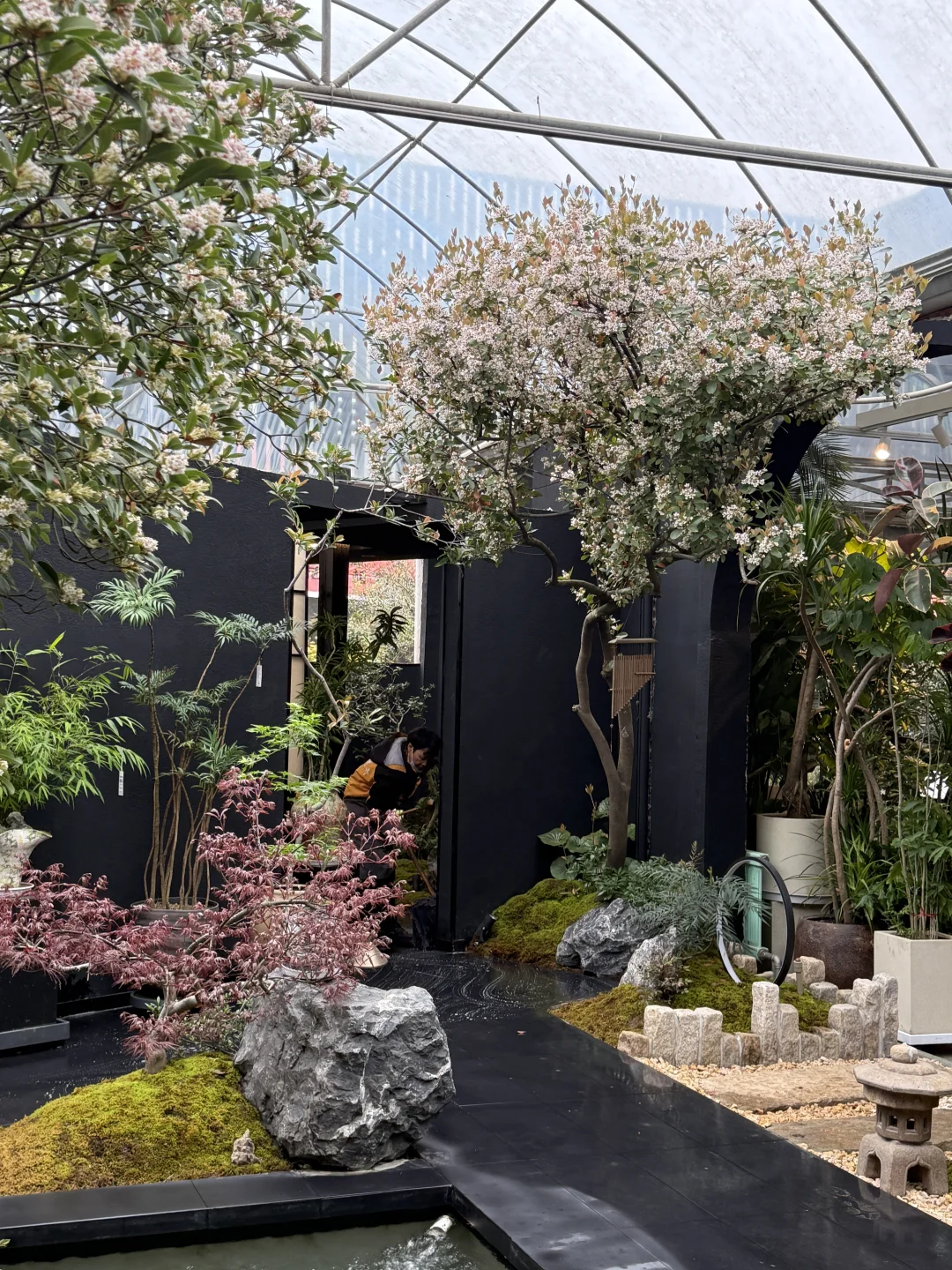 贵阳｜海岛春花开花了