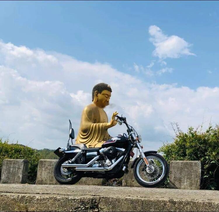 佛曰：快就是亏，慢也是亏 ​​​