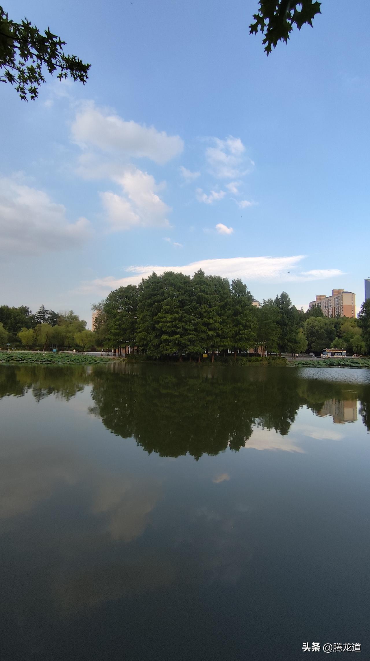 可以分享一张你拍的天空美照吗夏日的风景纳凉爽