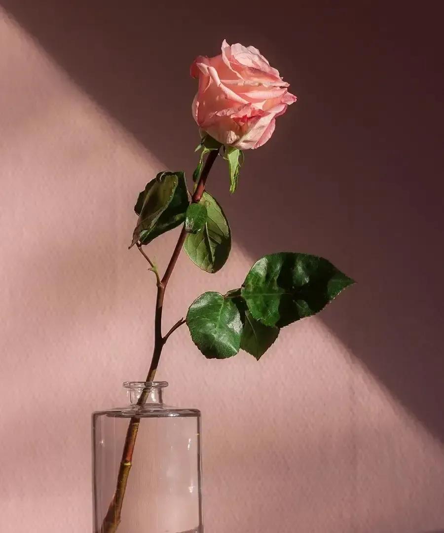 农村小伙阿旺今年三十三，村头媒婆进门三次都摇头。
原因简单：家里拿不出二十八万八