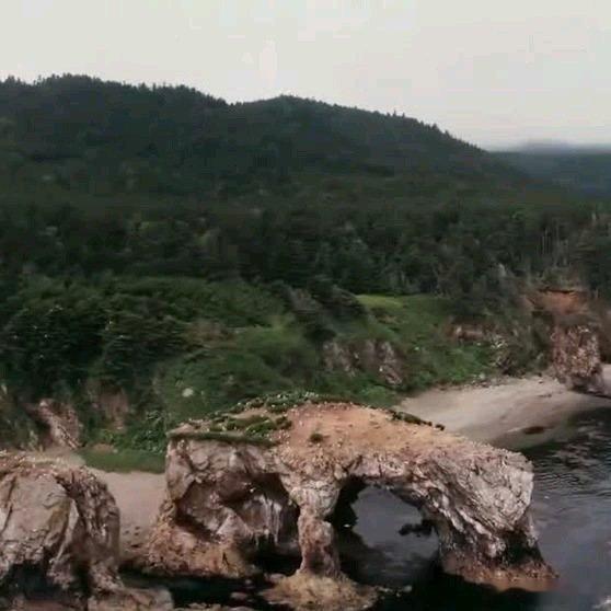 《萨哈林（库页岛）是远东生态天堂，已知动物种类超 1800 种，分陆地、鸟类、海