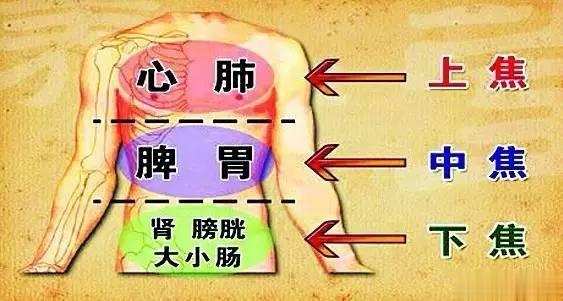 上热下寒，必须从调脾胃入手最近的一位小伙，用了半个疗程纯中药，性生活时间有延长，