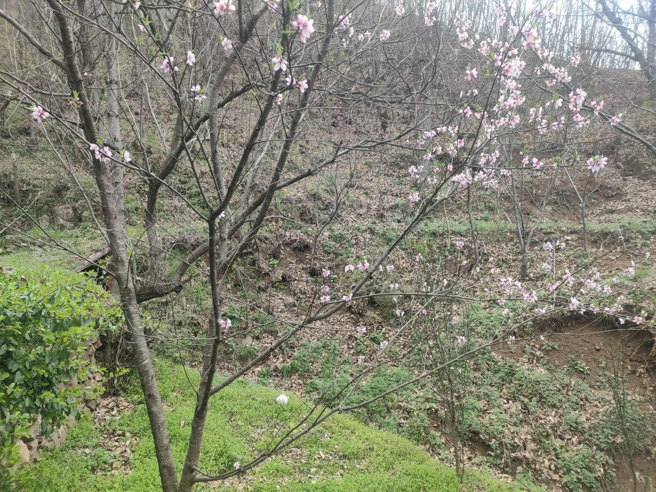 俗语:穷在犟和杠，福在忍和让，富在谋和思，毁在怒和狂。

人这一生，格局全在分寸
