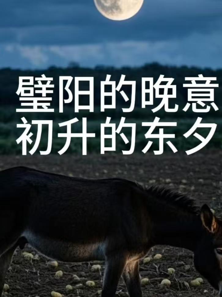 故事律为啥被打，他自己心里最清楚！你不提老杜都还想到她这号人物，你提了还真是此地