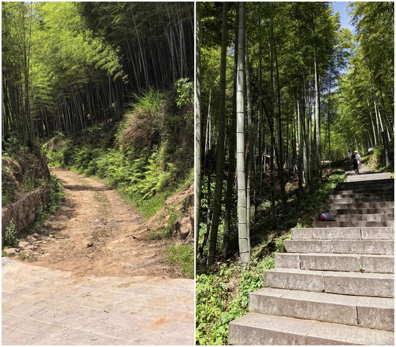 人生道路千万条，但总的来说，主要的大致有两条：

一条路是前人走过的路，顺着别人