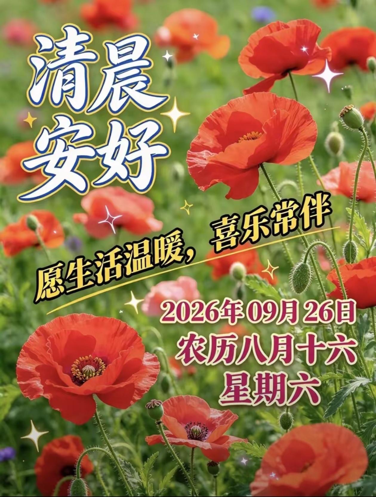 [福]2026./9月26日，秋日安泰，福气相伴，万事顺遂[福]

🍁🌅秋揽