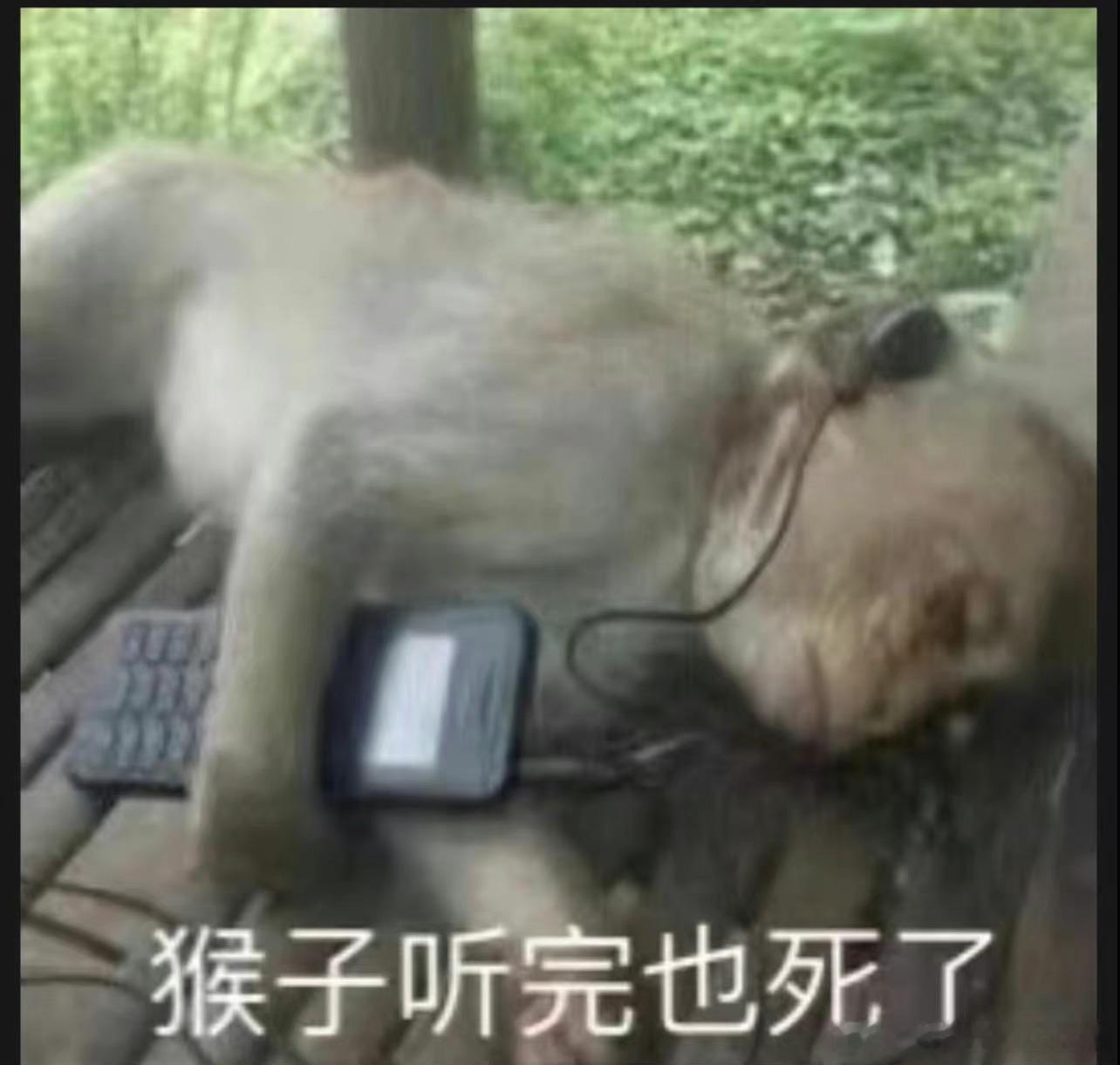 你们都不知道我刚才下午学了会习 然后睡了多夯实的一觉！ 